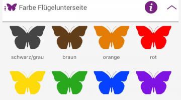 Schmetterlinge Österreich App