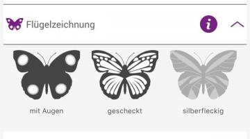 Schmetterlinge Österreich App © Instant, Design GmbH Schmetterlinge Österreich App