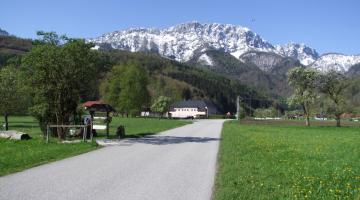 Blick von der Wiese "Himmelreich" zur Kremsmauer, im Hintergrund schneebedecktes Gebirge, im Vordergrund Wiese, Straße und Streuobstbäume