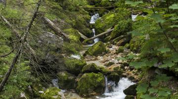 Hartelsgraben, Nationalpark Gesäuse