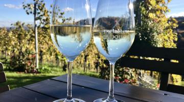 2 Weingläser auf einem Tisch, im Hintergrund Weingarten und blauer Himmel