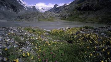 Gebirgslandschaft mit See im NP Hohe Tauern