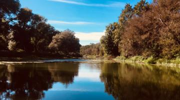 Donau Auen