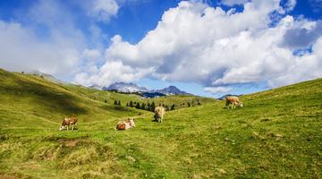 wanderungen almen