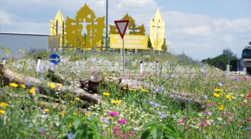 Biodiversitätsgemeinde (A9 Autobahnabfahrt Vogau-Straß)