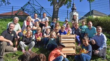 Insektenweide © Sabine Hummer Team für das Projekt