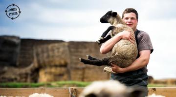 Schäfer Stefan Hirsch mit einem seiner Schafe in seinen Armen