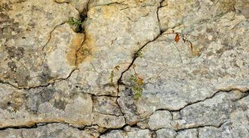 Auch in Felsritzen kann sich Permafrost bilden.
(c) pixabay © Auch in Felsritzen kann sich Permafrost bilden.
(c) pixabay