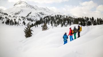 Bei Schneeschuhwanderungen im Nationalpark Hohe Tauern ist die Sichtung von Bartgeiern keine Seltenheit