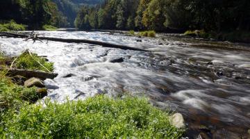 Kamptal: Kraftwerk oder Naturlandschaft?  