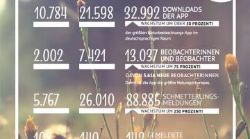 Auswertung schmetterlingsapp 2018 Kopie © Blühendes Österreich/iService Auswertung schmetterlingsapp 2018 Kopie
