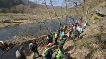 Naturschutzbund-Frühlingswanderung in das Naturparadies Kamptal