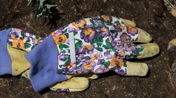 Tipps-fuer-den-gemeinsaftsgarten © sandid/Pixabay.com (CC0) Gartenhandschuhe