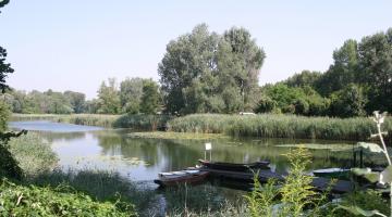 Gewässer am Barbenhäufel