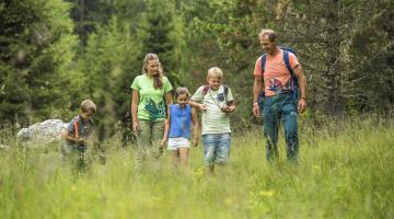 Wandern