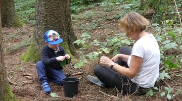 Hinaus in den Wald