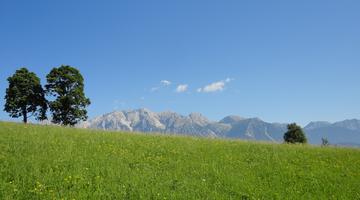 Wiese im Ennstal, im Hintergrund der Dachstein