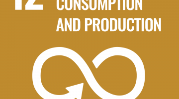 Responsible consumption and production