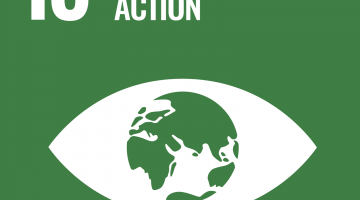 © United Nations Climate action