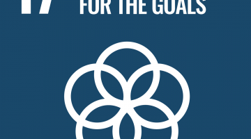 © United Nations Partnerships for the goals