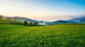 Landschaft