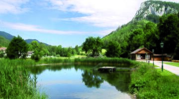 Teich im Naturpark Falkenstein