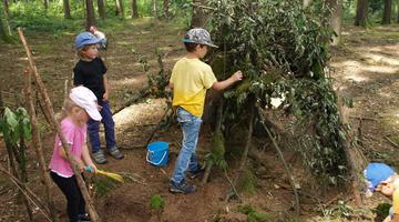 Naturpark-Sommerkindergarten im Wald