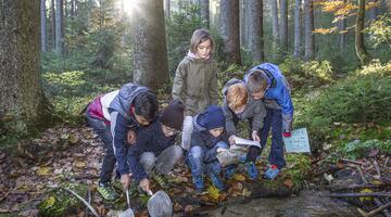 Eine Gruppe von Kindern erforscht den Waldboden.