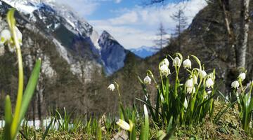Issanger Halltal