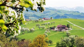 Landschaftbild vom Mostviertel