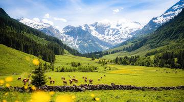 Auflusgzeiel Natur Österreich