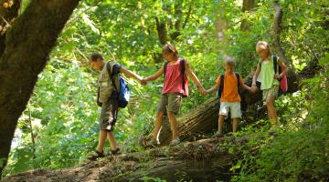 Kinder im Wald