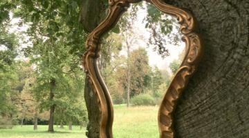 Schlosspark im Spiegel der Zeit