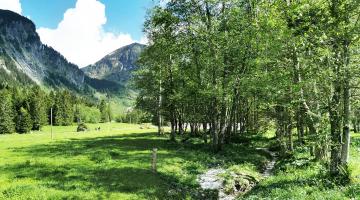 Schwemmalm Zillertal