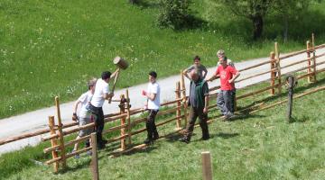 Jugendliche bauen einen Zaun auf einer Wiese