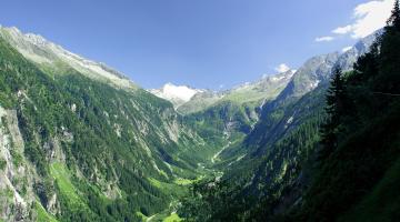 Blick in den Zemmgrund mit Schwemmalm