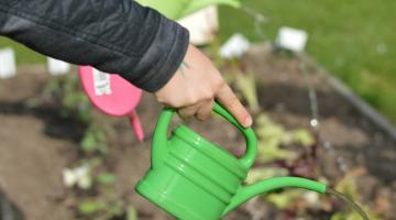 Hand mit Gießkanne vor Beethintergrund