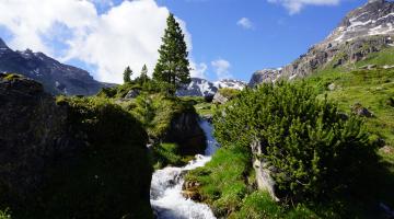 Wattener Lizum