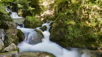 Wasserfall im Grünen