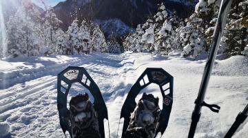 Schneeschuhwandern im Naturpark Sölktäler