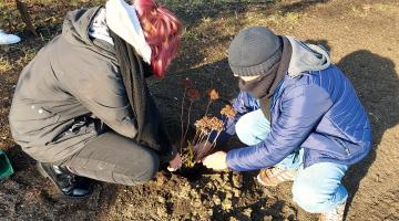 Jugendliche engagieren sich für mehr Biodiversität