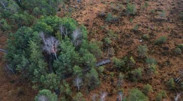 Ibmer moor aus der Luft