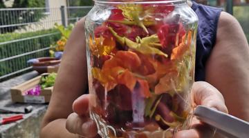 Naturapotheke