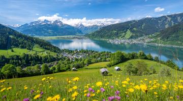 Wiese oberhalb von Zell am See