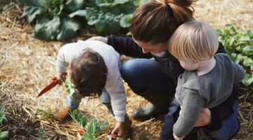 Kinder ernten im Naschgarten