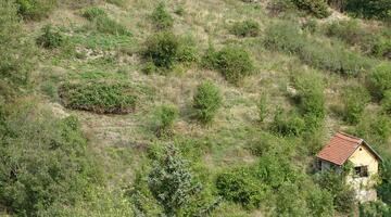 Biodiversitäts-Hotspot in Döbling