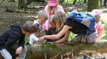 Kinder-Ferienprogramm