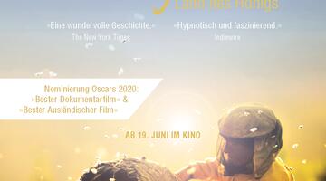 honeyland