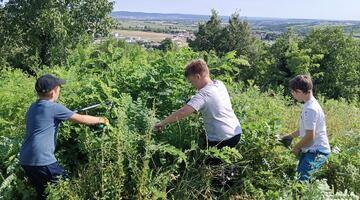Trockenrasenpflege im Juli