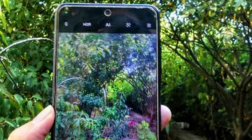 Handy im Vordergrund mit Natur im Hintergrund